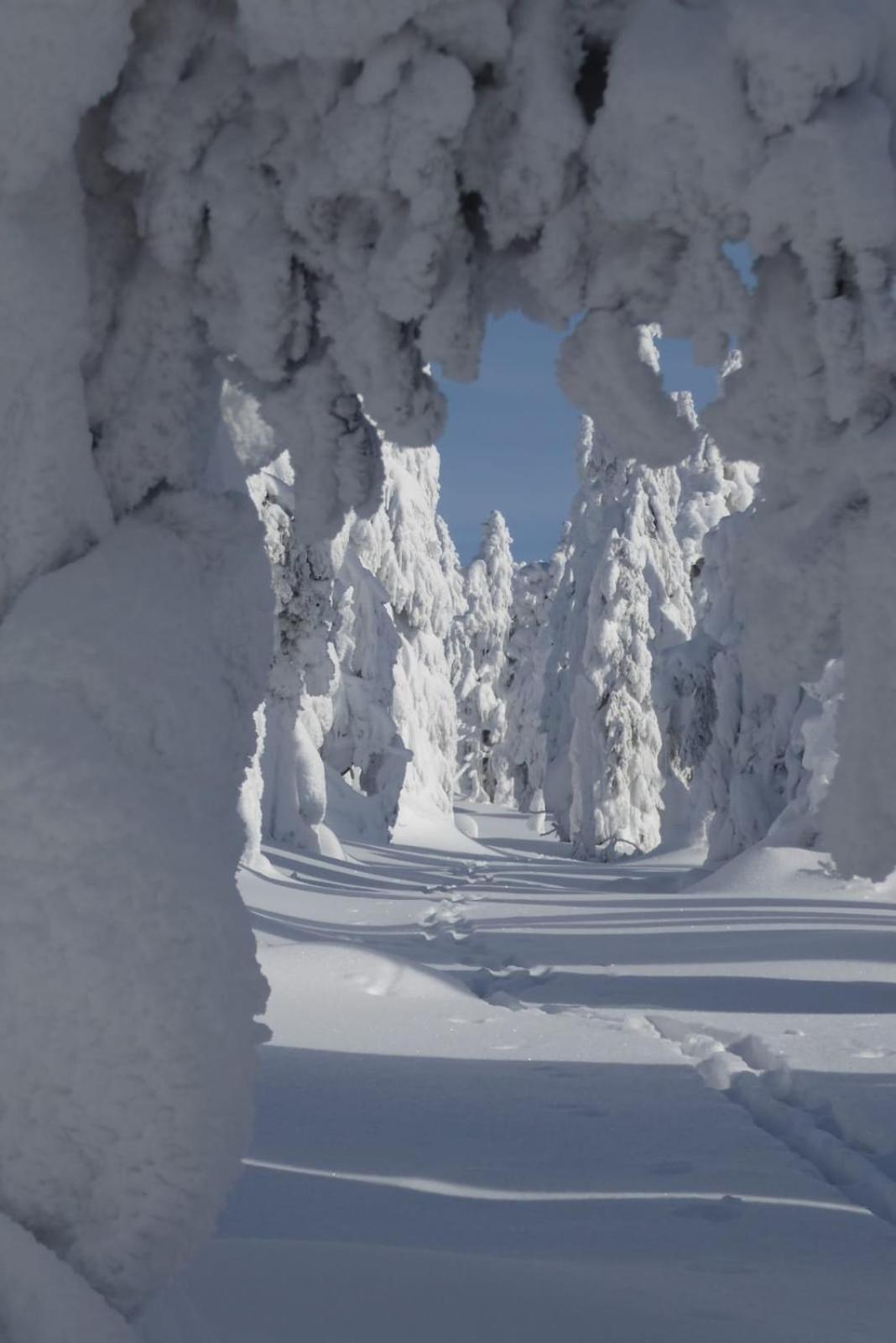 Appartamento Corso Ski&bike Harrachov